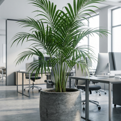 Baq Algar sierpot — Barrel Grey, Ø 52 cm - afbeelding 2