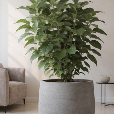 Baq Algar sierpot — Darcy Grey, Ø 46 cm - afbeelding 2
