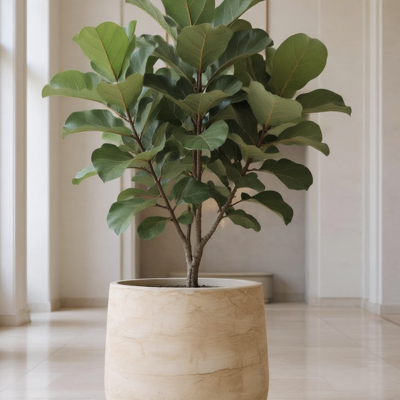 Baq Algar sierpot — Darcy White, Ø 46 cm - afbeelding 2